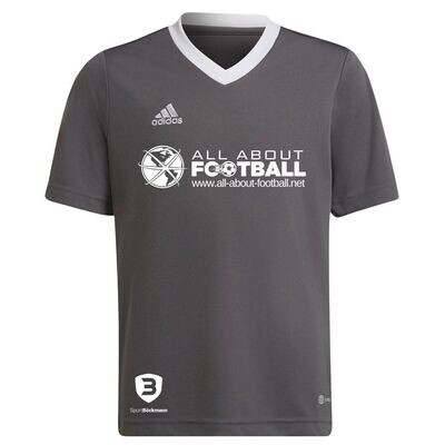 Adidas Entrada 22 Trikot grau mit AAF Logo Adidas Entrada 22 Trikot grau mit AAF Logo