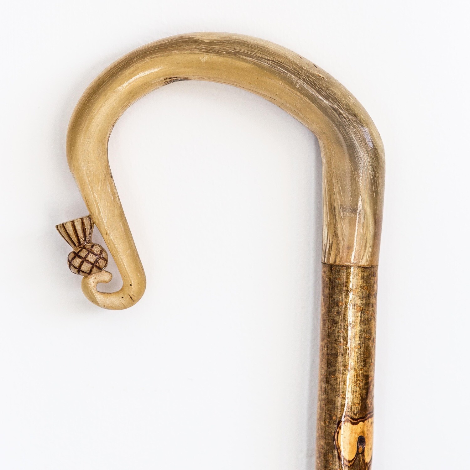 Rose Farrow&#39;s Crook