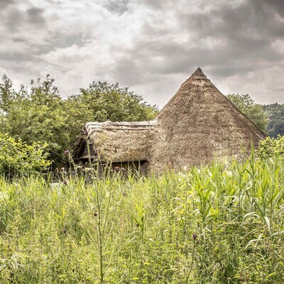 Iron Age Roundhouse