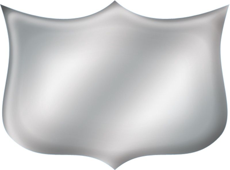 Dynasub Shield, Satin Silver
