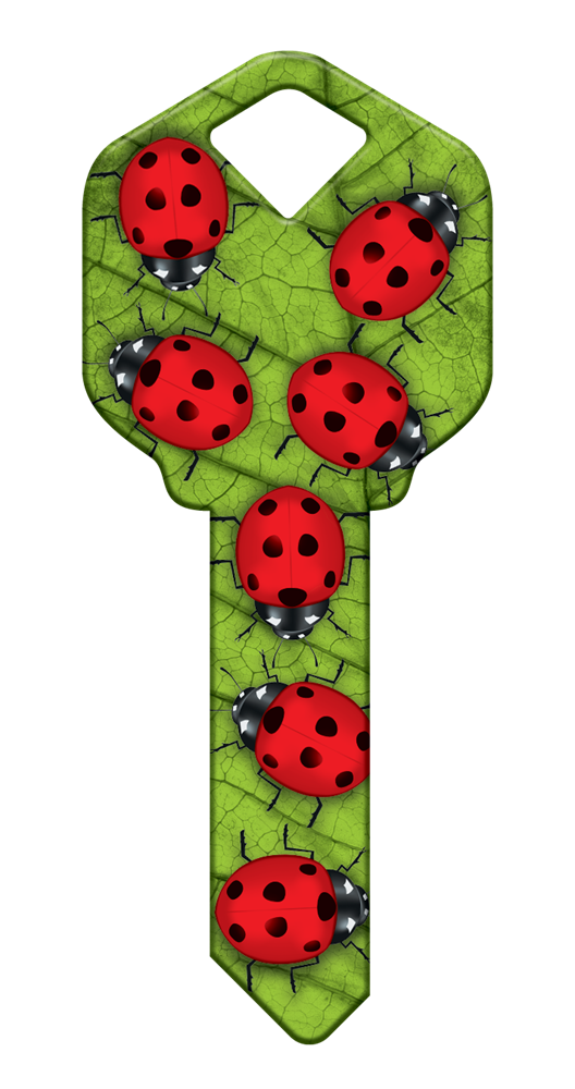 Ladybugs Key