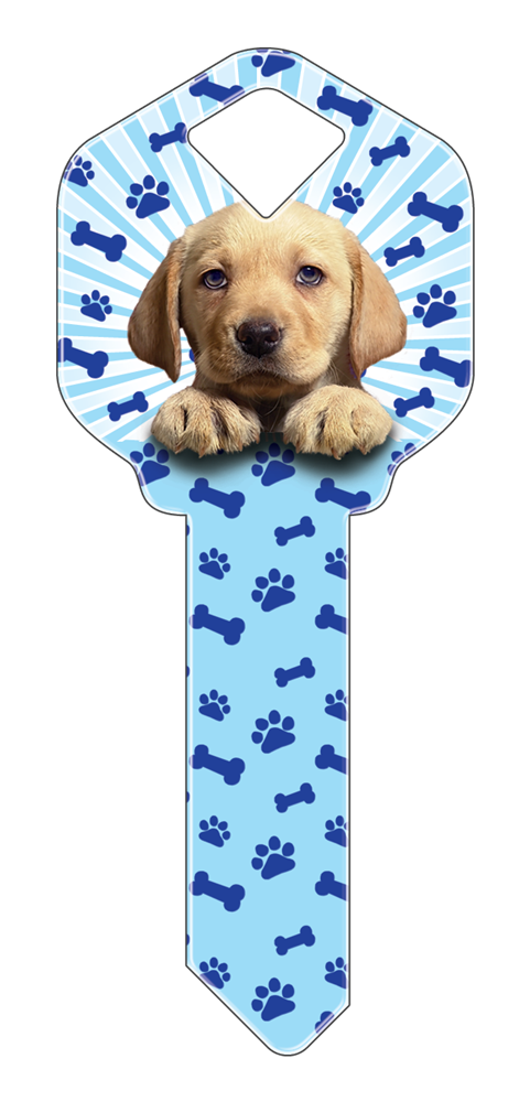 Puppy Key
