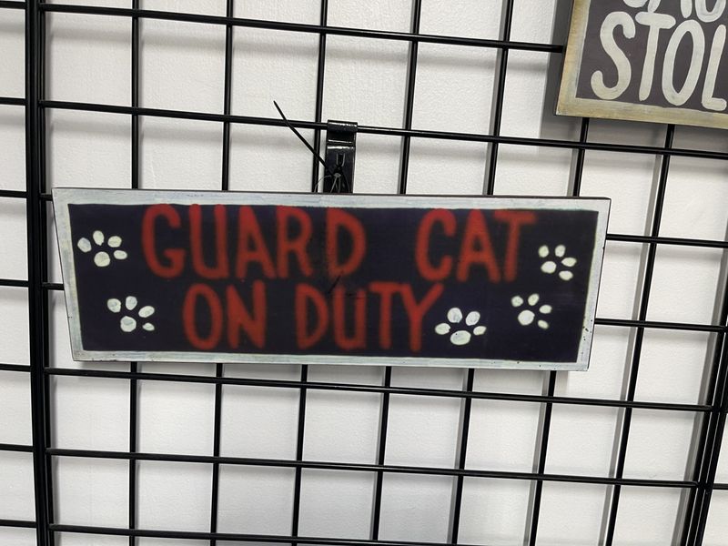 GUARD CAT ON DUTY 1952