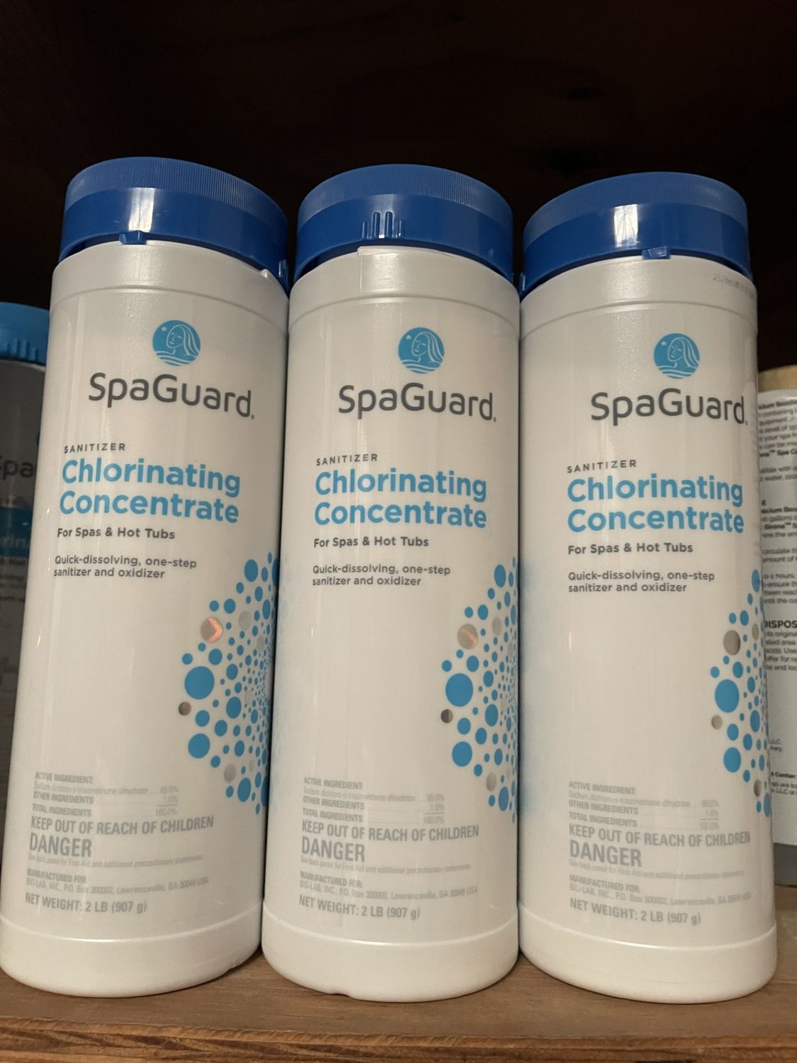 Spaguard Chlorinating Concentrate 2lbs 42614