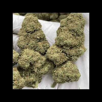 White Widow CBD Interior
