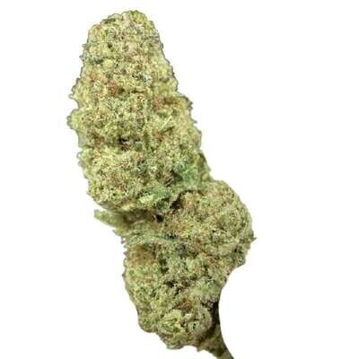 Super Lemon Haze CBD Interior