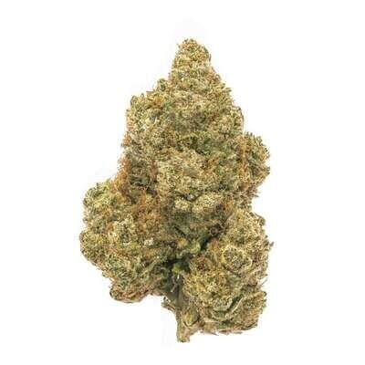 White Meolon Indoor CBD
