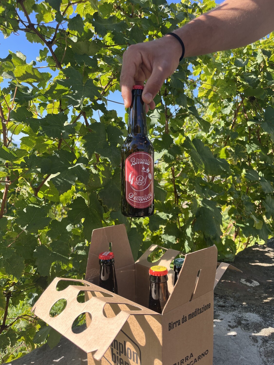 Carton de 6 bouteilles de 75cl de la Sempione