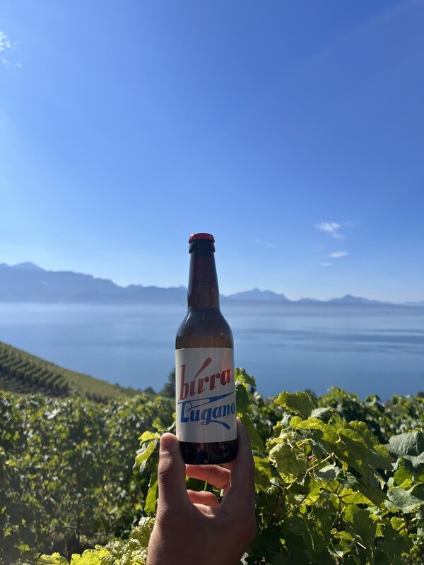 Le carton de 12 de la "Lugano"