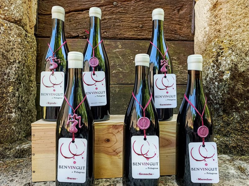Coffret Benvingut