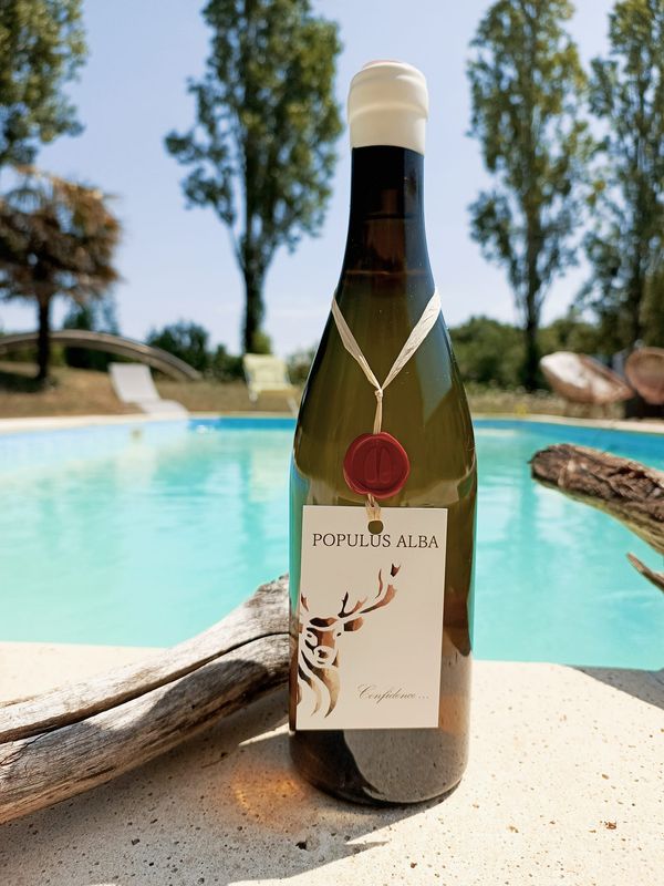 Cuvée Confidence