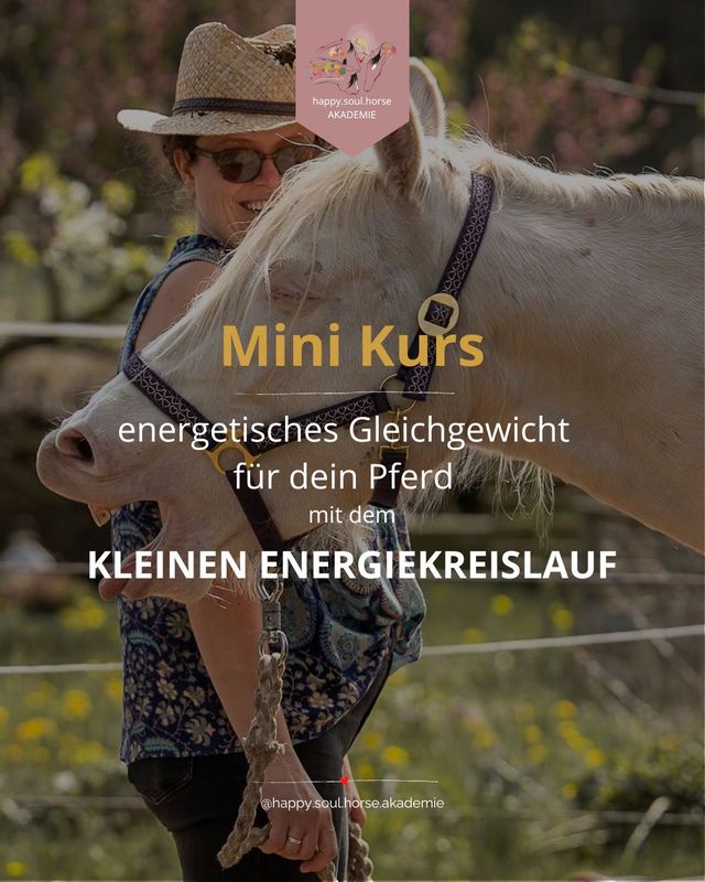 Online Mini-Kurs "Energetisches Gleichgewicht für dein Pferd mit dem kleinen Energiekreislauf"