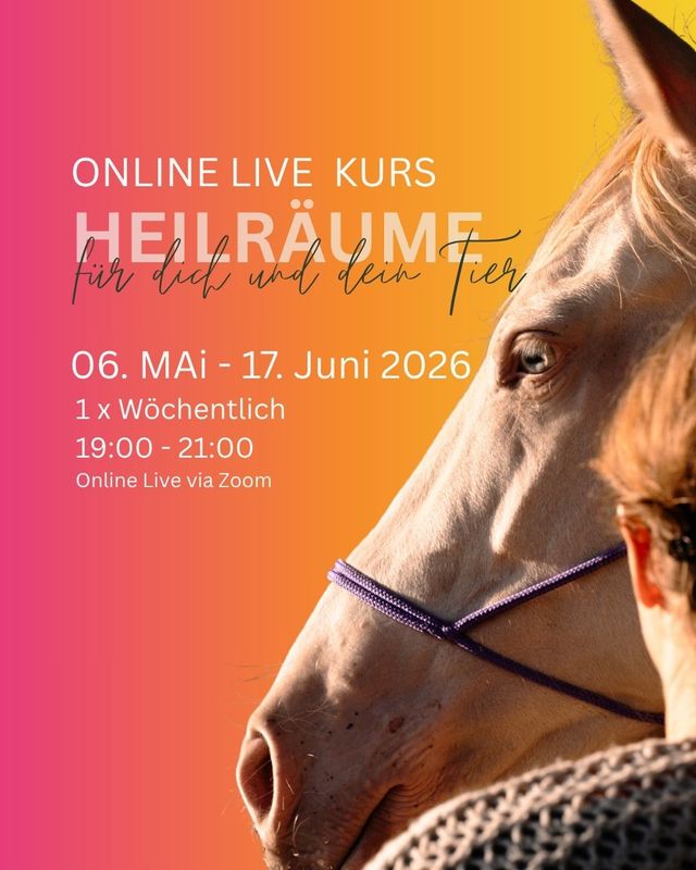 Heilräume für dich & dein Tier - LIVE Online Kurs