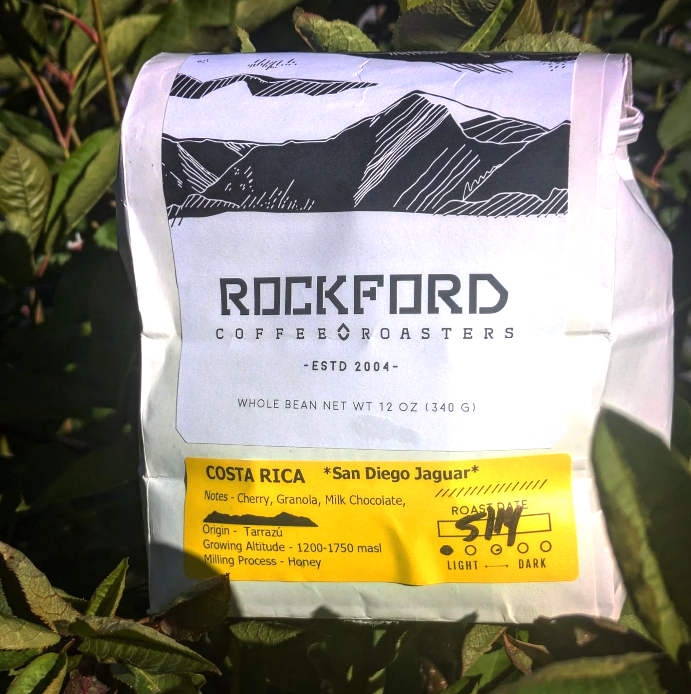E-commerce Product Image