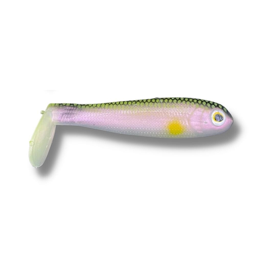 SHADS LURES Swimmer Shads 3&quot;, Colour: Ayu