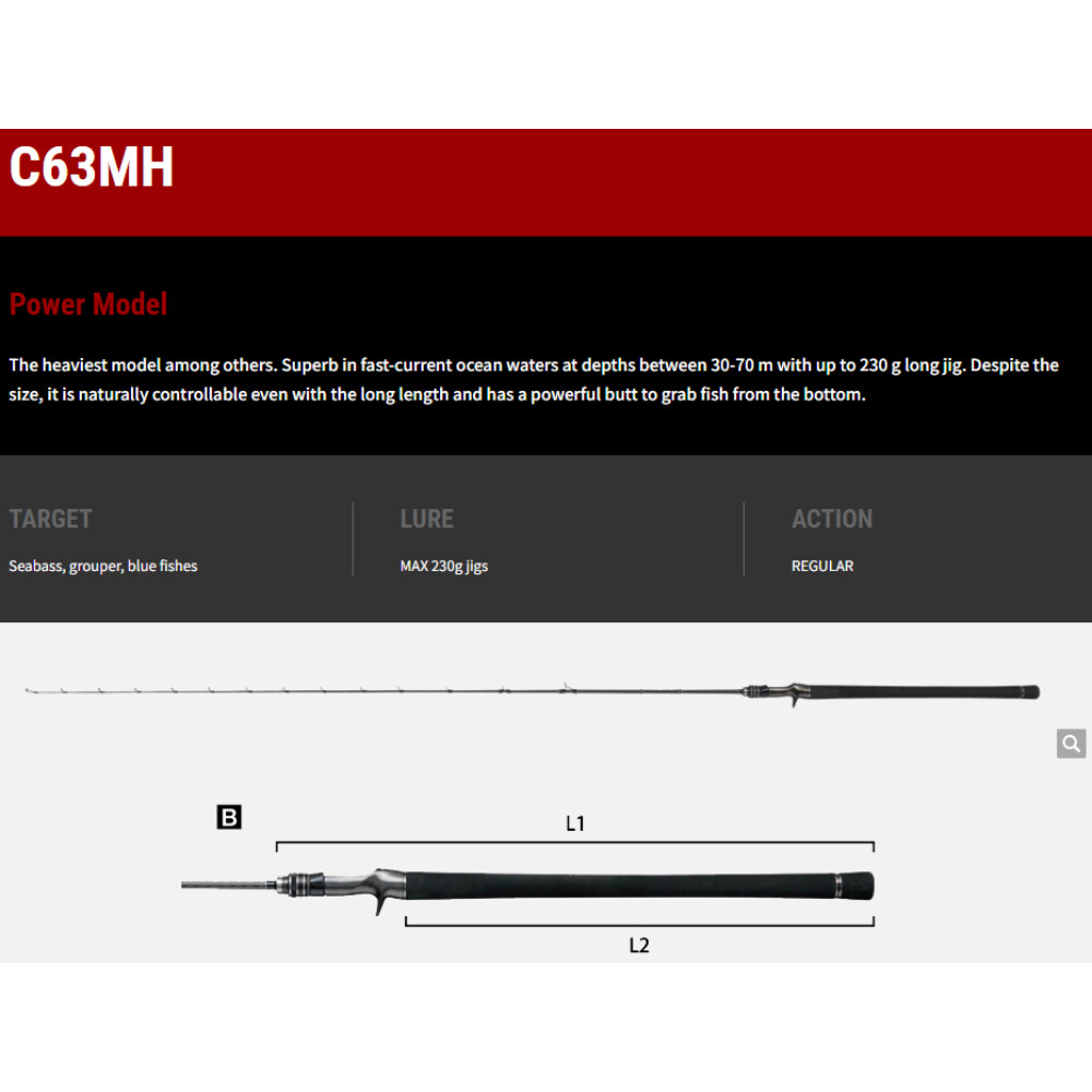 TAILWALK RODS SSD L-Jigging C63MH Baitcast Rod