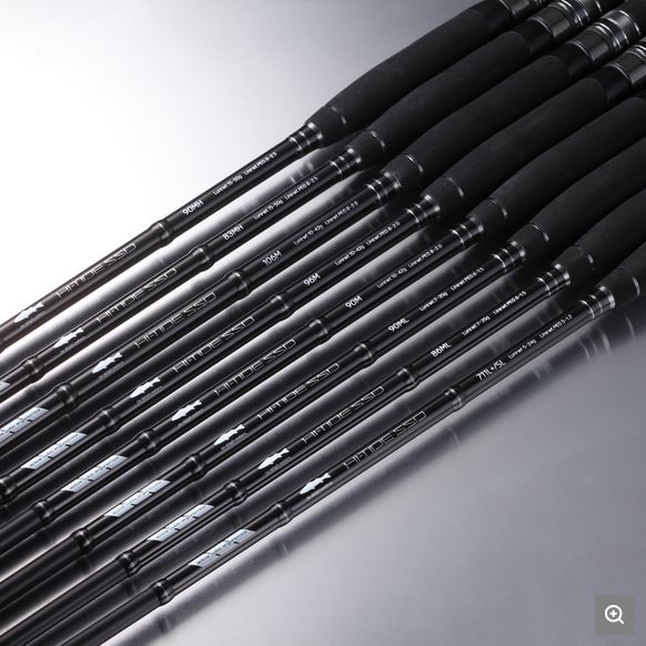 TAILWALK RODS Hi-Tide SSD Spinning Rods