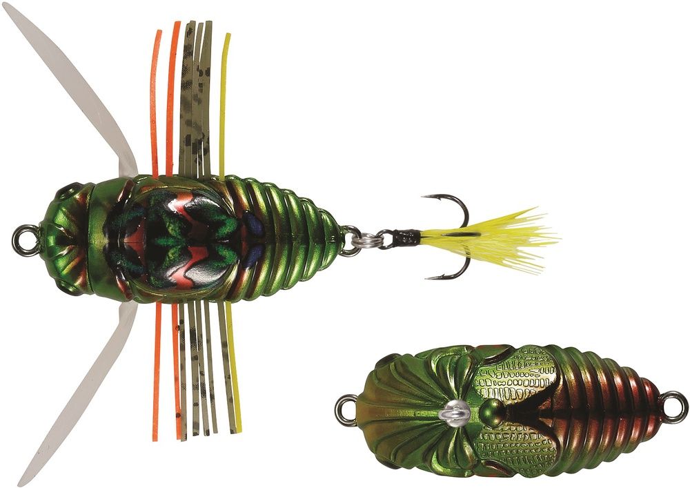 DUO REALIS SHINMUSHI, Colour: KINKAME