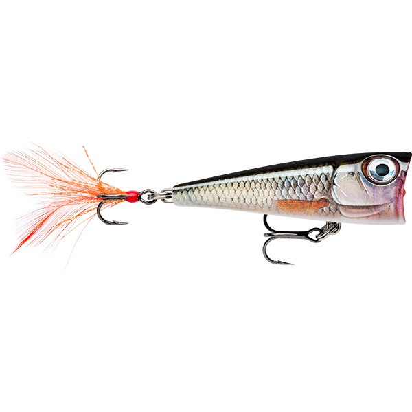 RAPALA X-LIGHT POP 04, Colour: LIVE ROACH