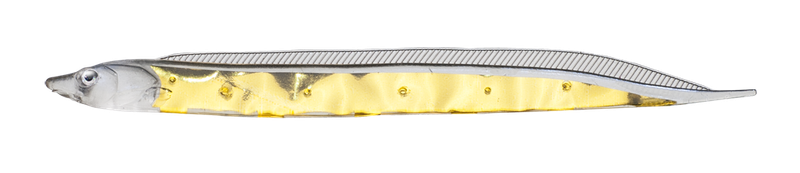 FISH ARROW Flash J Shirasu 3&quot; SW