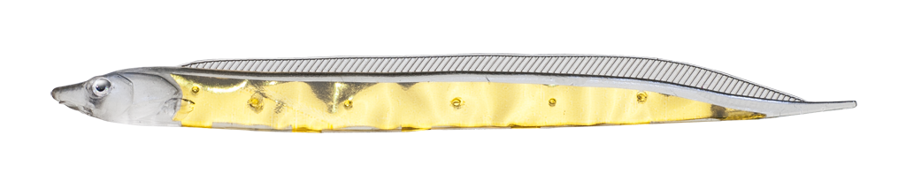 FISH ARROW Flash J Shirasu 3&quot; SW, Colours: #148 Clear Gold