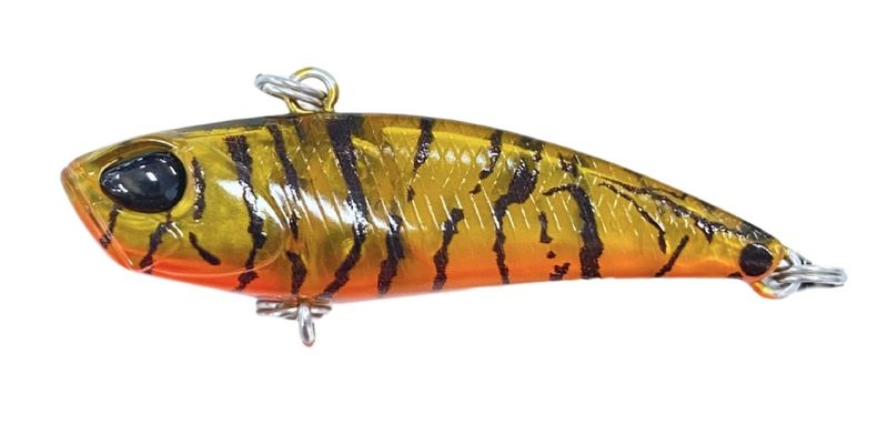 DUO TETRA WORKS BIVI.