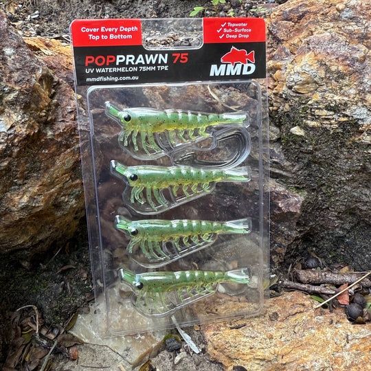 MMD POP PRAWN 75