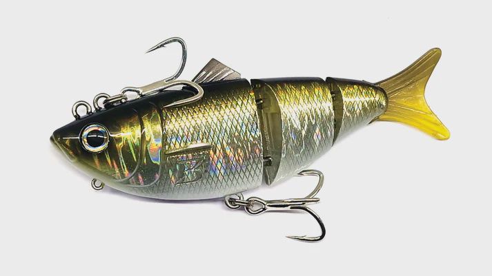 BARAMBAH BONY SHAD X