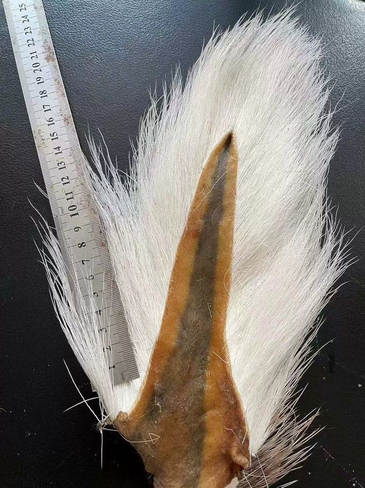 SUPERSE BUCKTAIL FUR, Colour: WHITE