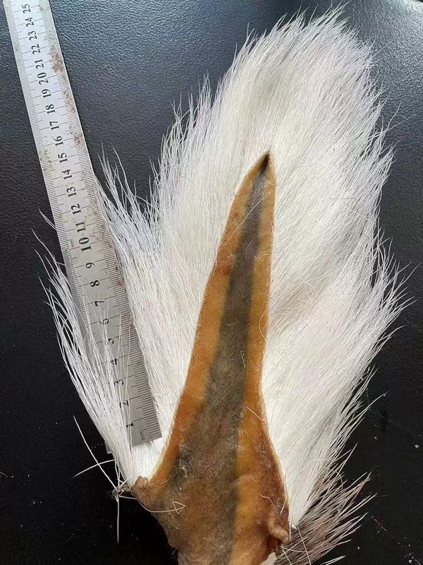 SUPERSE BUCKTAIL FUR