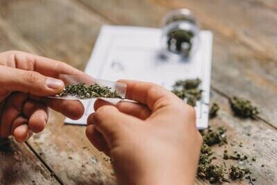 Papers and Cones