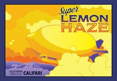 Califari Super Lemon Haze Canvas