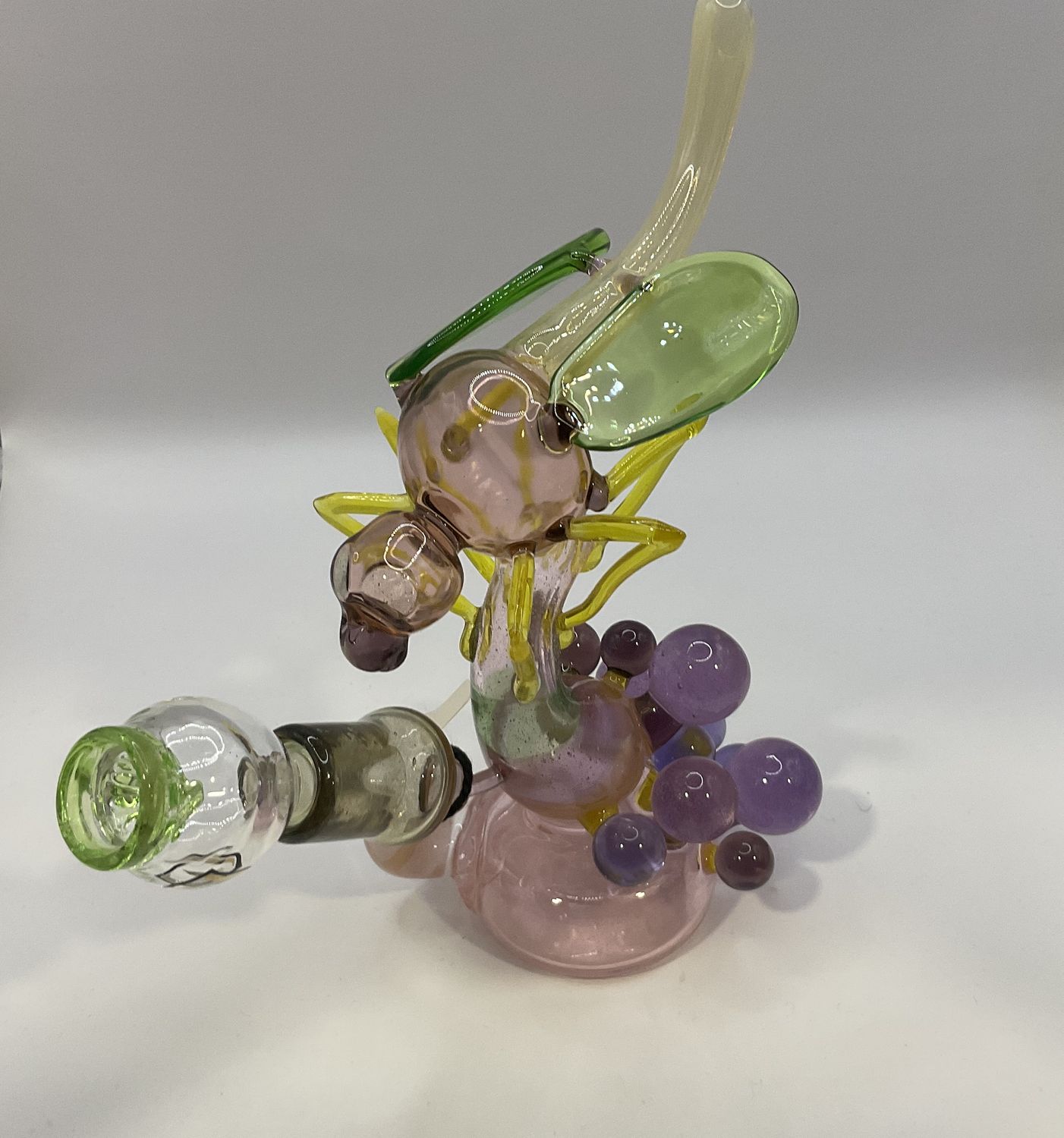 Dragonfly Rig