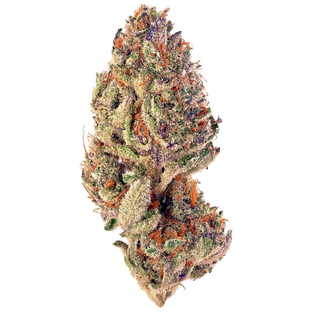 Tropicana Cookies - THCP Flower