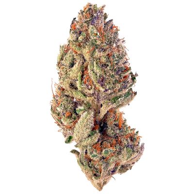 Tropicana Cookies - THCP Flower