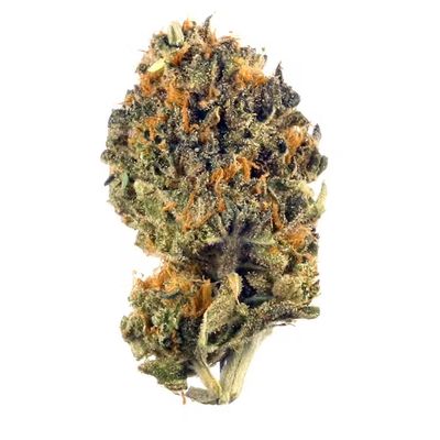 Sunset Haze-THCP Flower