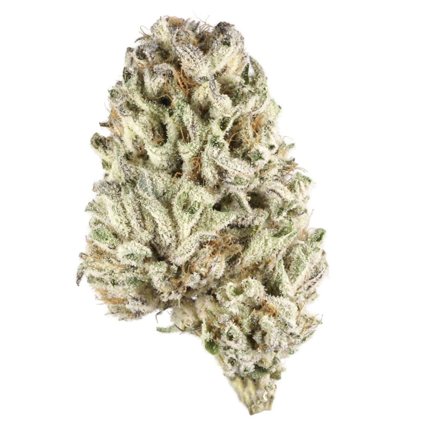 Paradise OG HHC