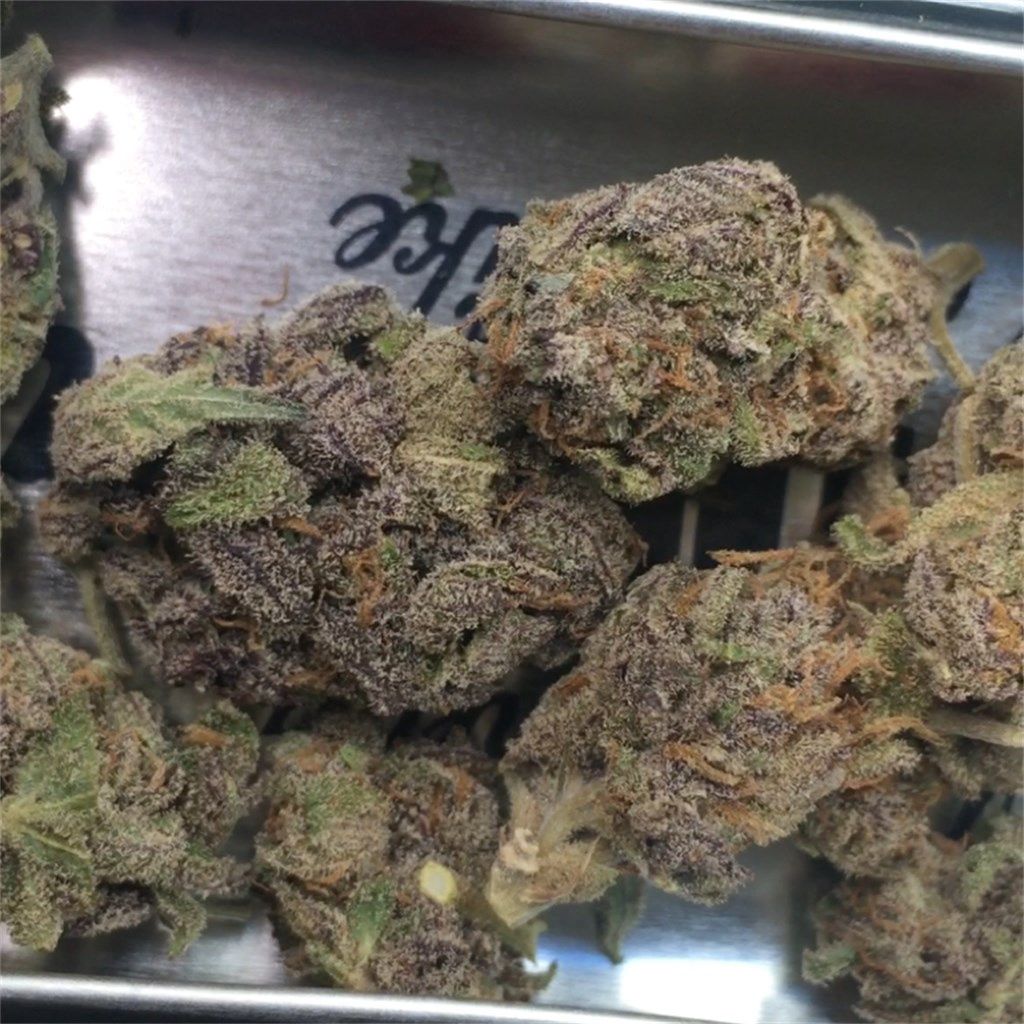 Black Mamba - THCP Flower