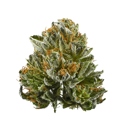 Fern Valley Bubba Kush HHC Small Buds (Indica) / 1/8th Ounce