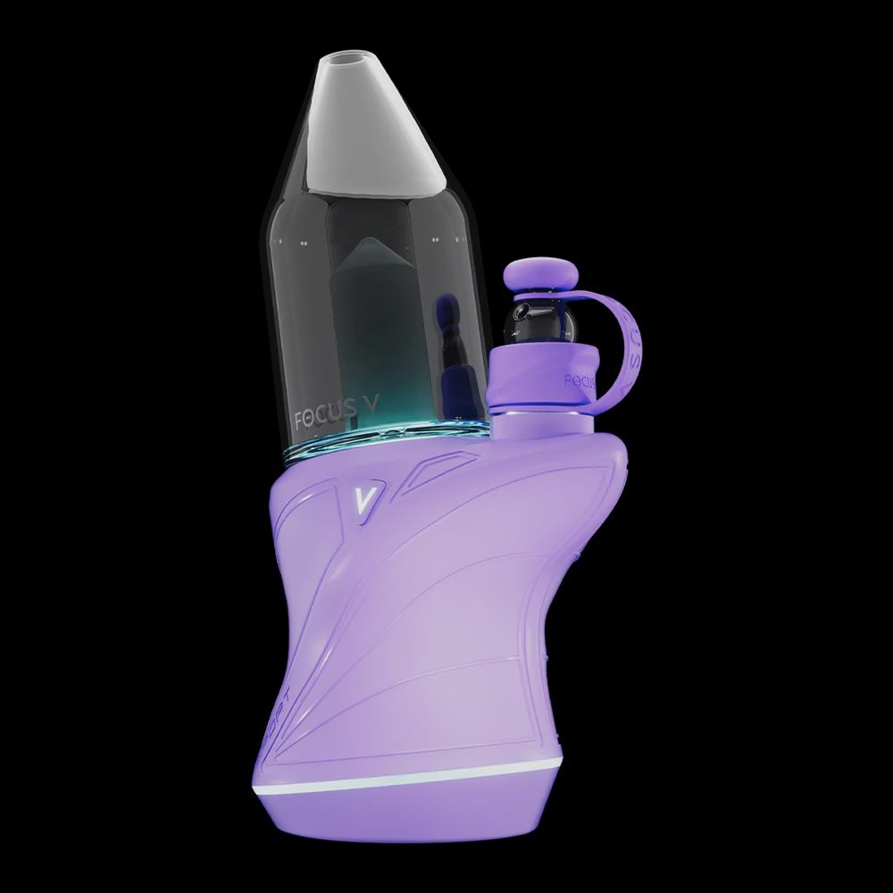 Focus V Carta Sport, Color: Lilac
