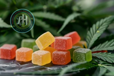 PH Tactical Support CBD Gummies