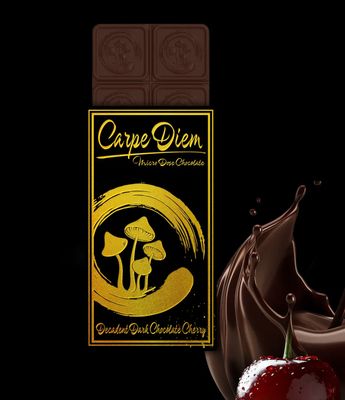 Carpe Diem Mushroom Chocolates