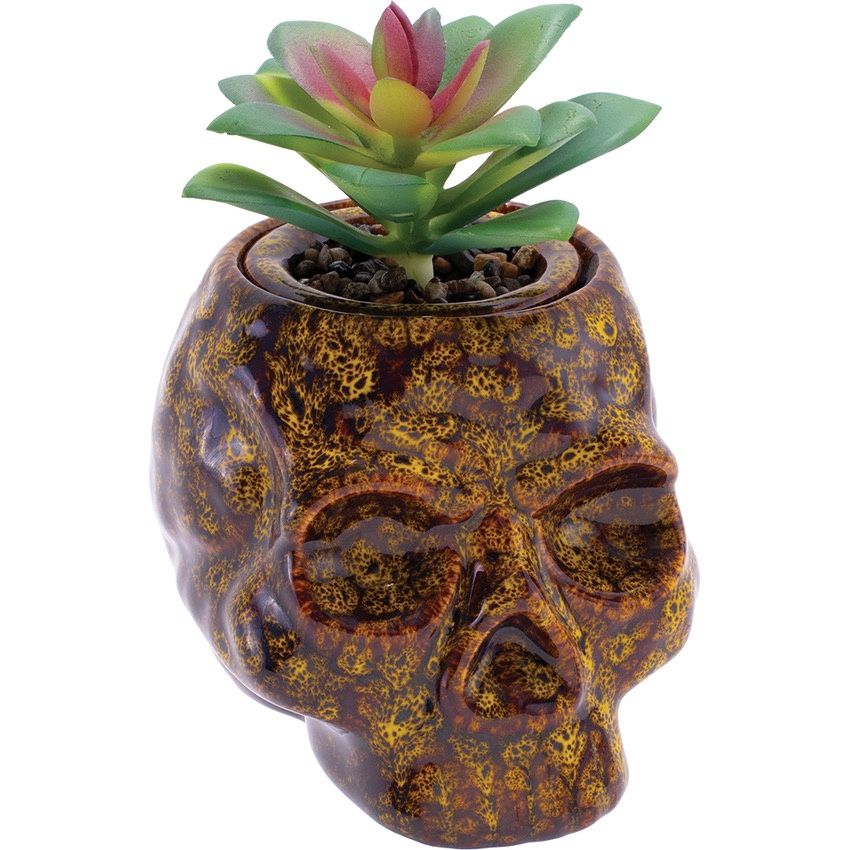 Fujima Skull Planter Stash Jar