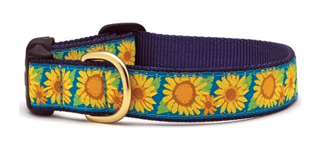 Up Country Sun Flower Small