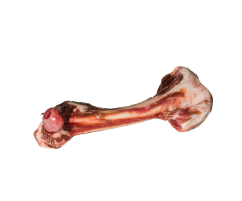TUCKER&#39;S FRZN LAMB BONES