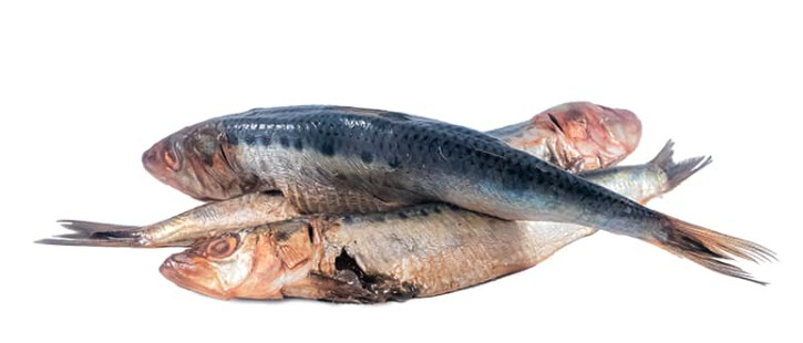 Corrina&#39;s Sardines 1lb