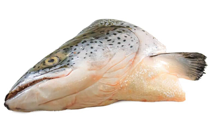 Corrina&#39;s Salmon Head