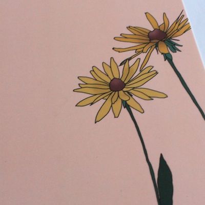 Zonnige Bloemen op Roze