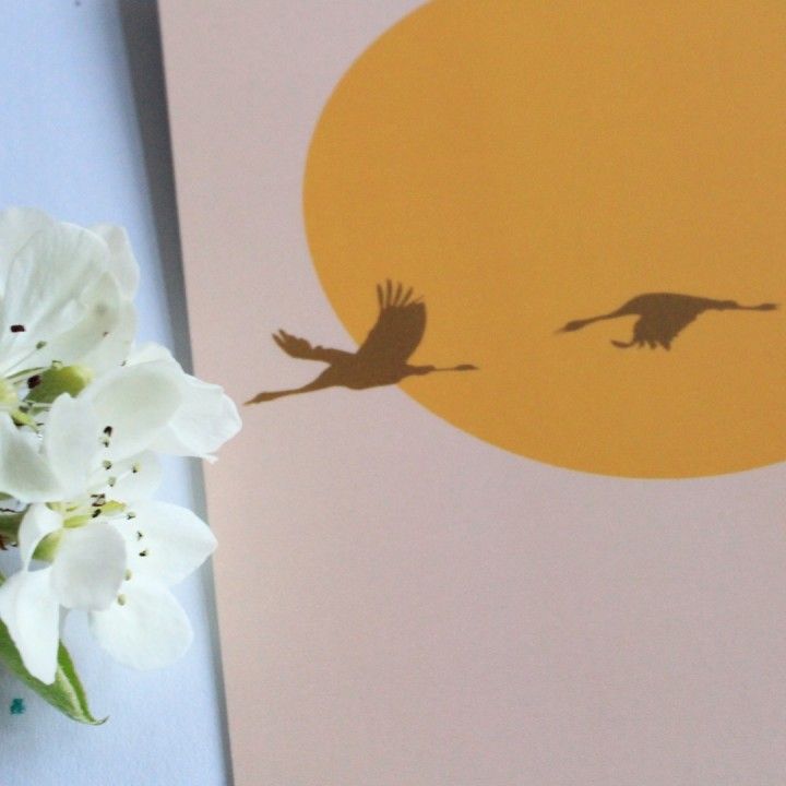 Flying birds kaart