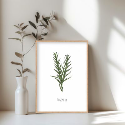 herbs poster print